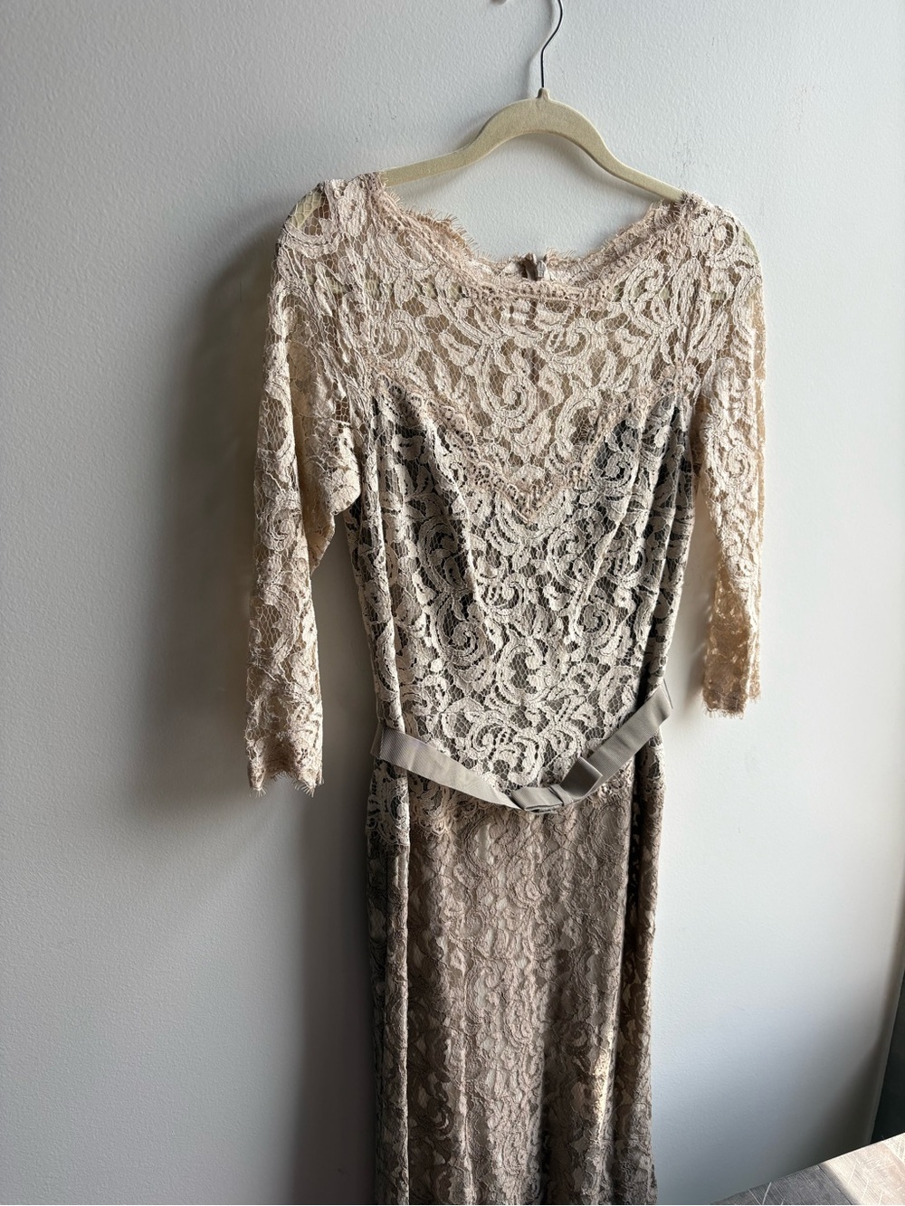 Tadashi Shoji Cream and Taupe Lace Long Sleeve Maxi Dress